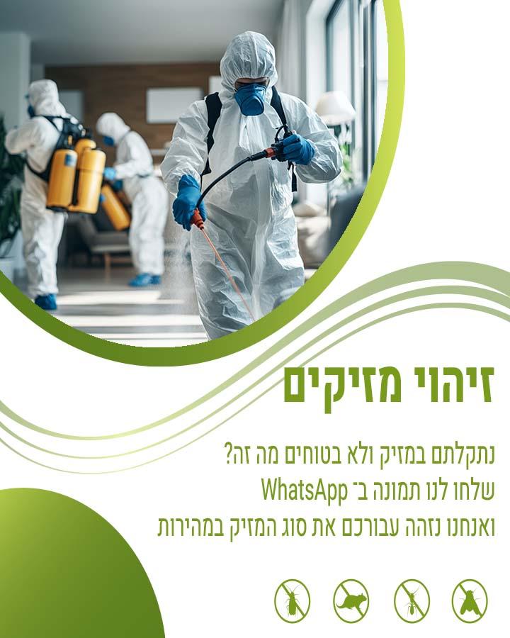 הדברת חשופיות