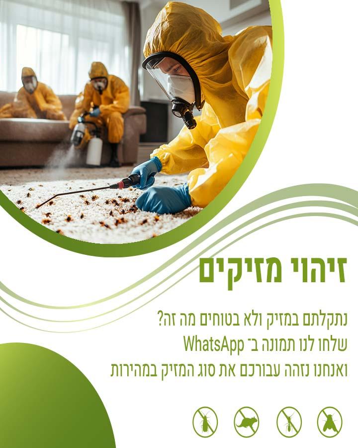 הדברת טחבית מצויה
