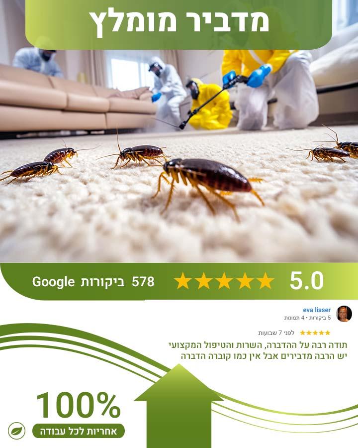 הדברת טרמיטים