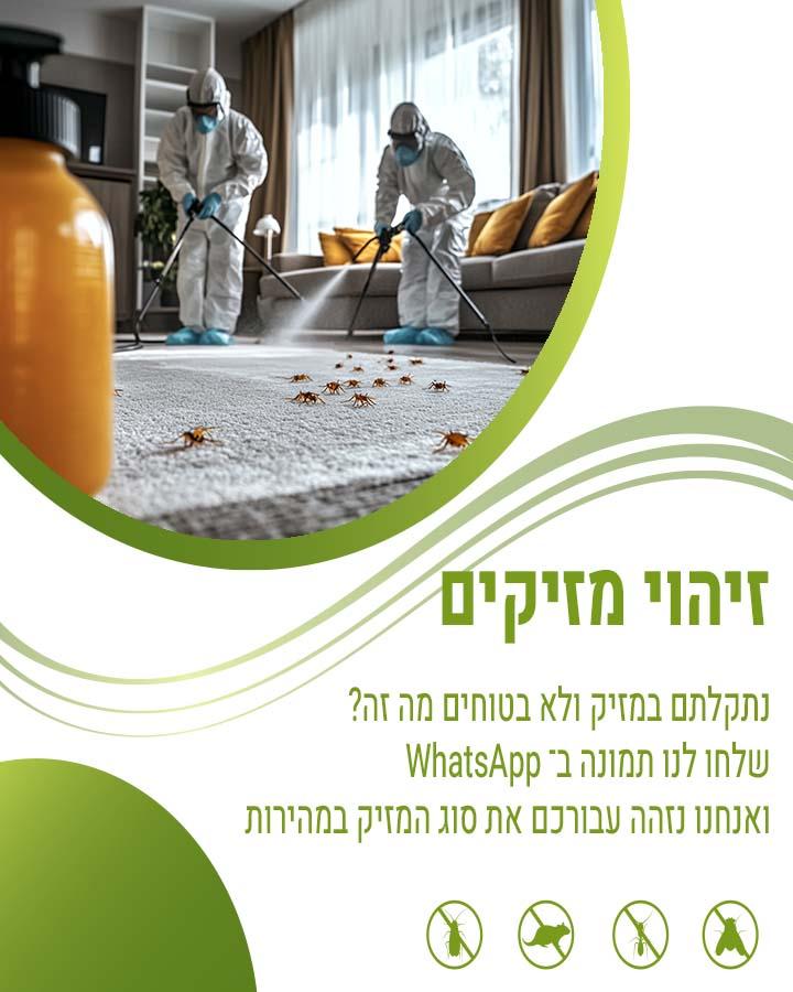 הדברת לול