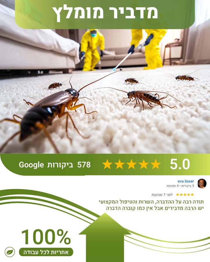 הדברת לול