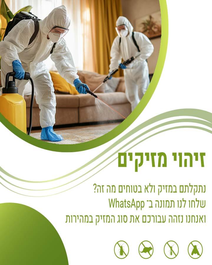 הדברת מזיקים