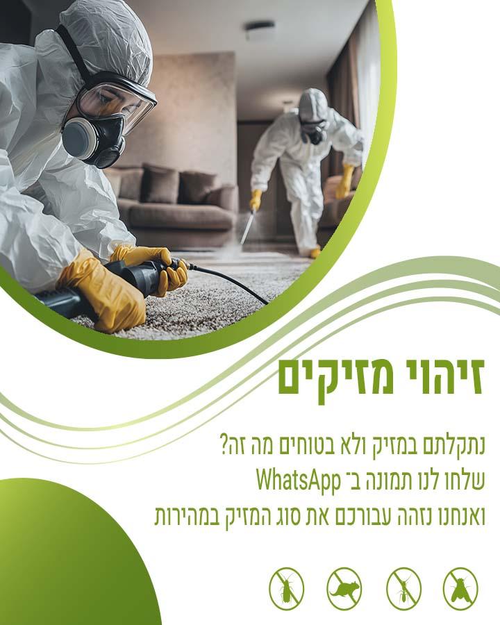 הדברת מזיקים ירוקה 1