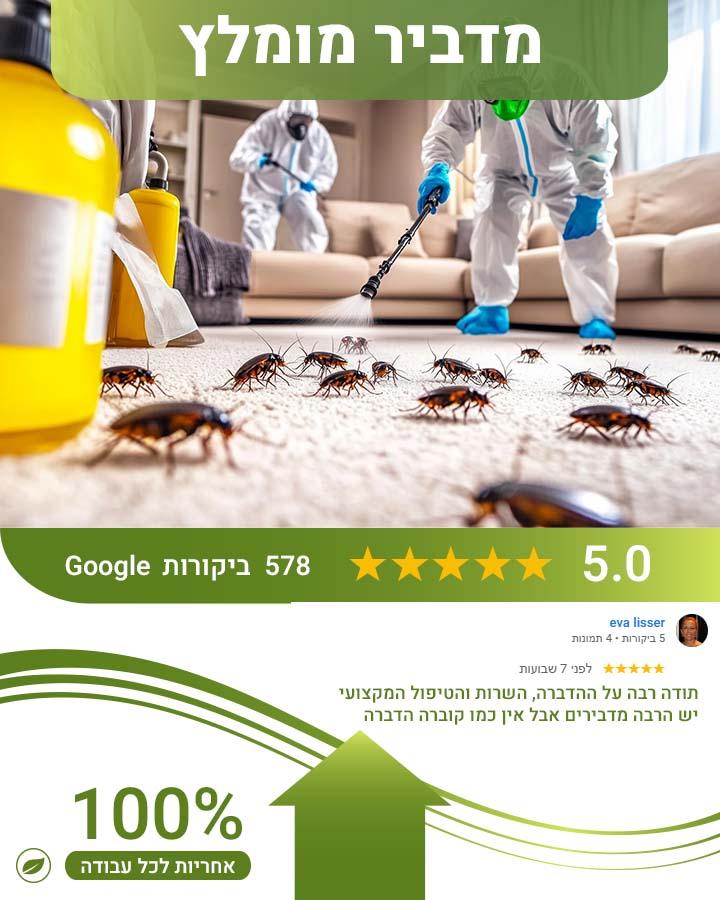 הדברת מטבח