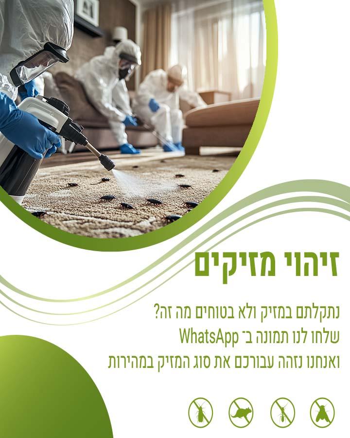 הדברת מקלטים