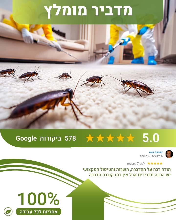 הדברת מקלטים