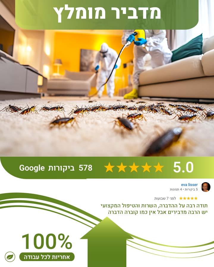 הדברת מרתף
