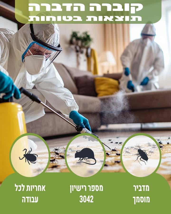 הדברת מרתף