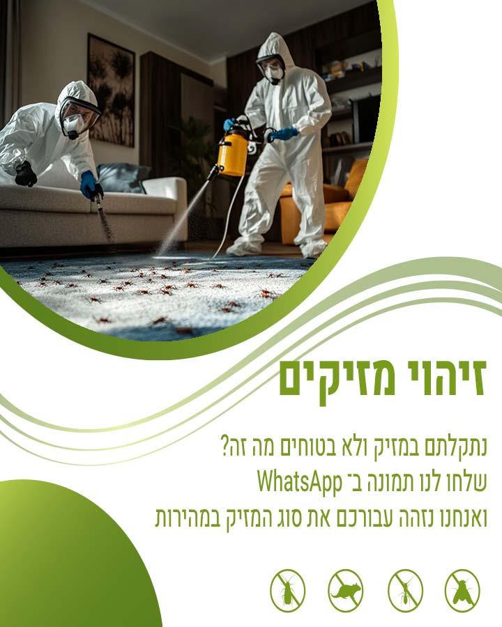 הדברת משרדים