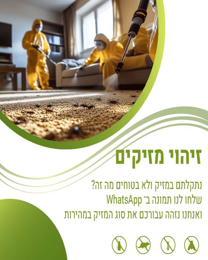 הדברת נדל ארסי