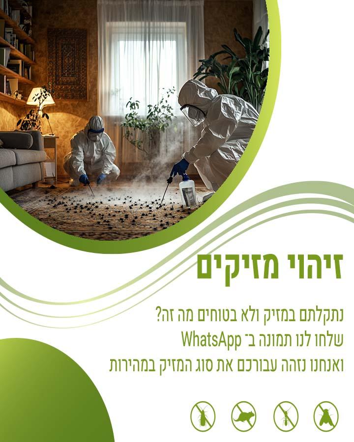 הדברת נובר המזח