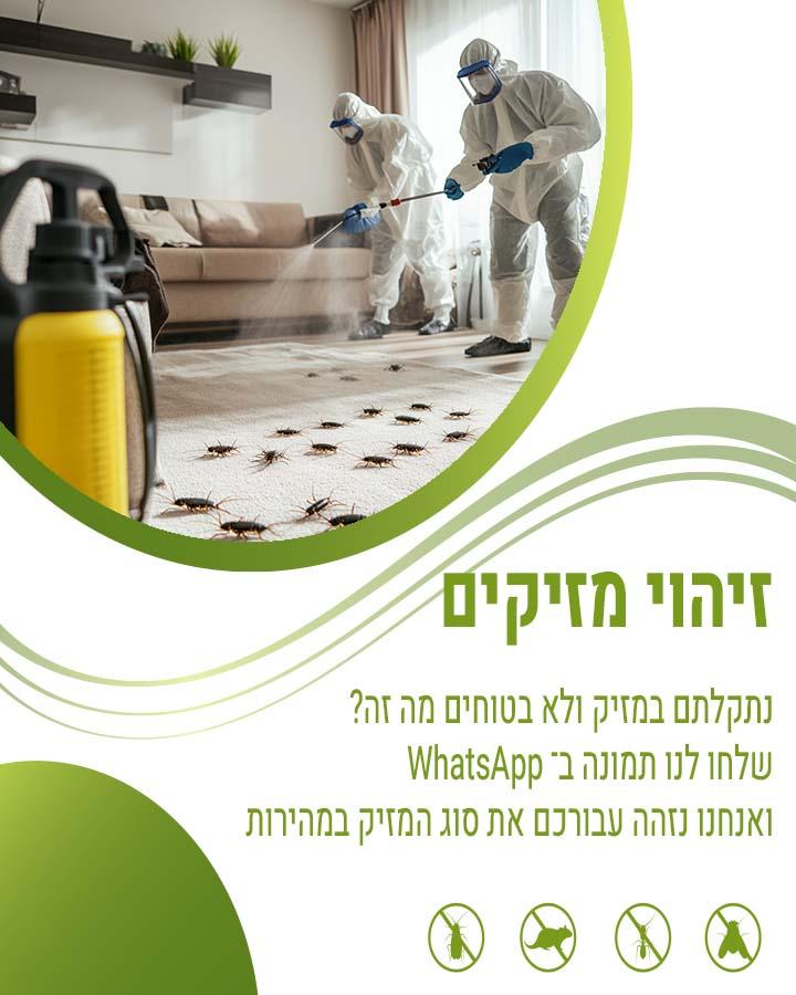 הדברת נמלים ברכב 1