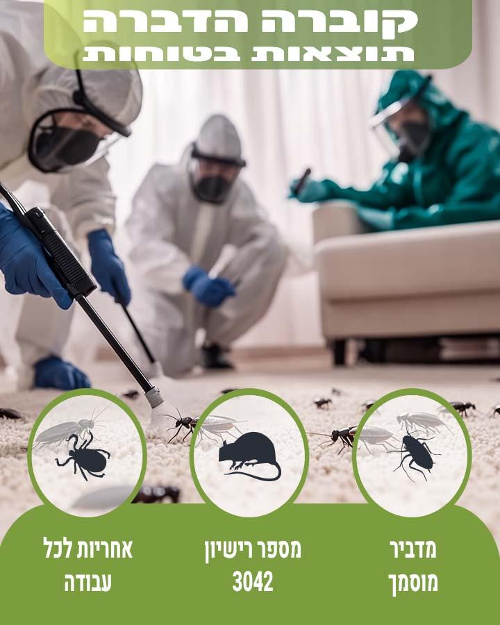 הדברת נמלים ברכב