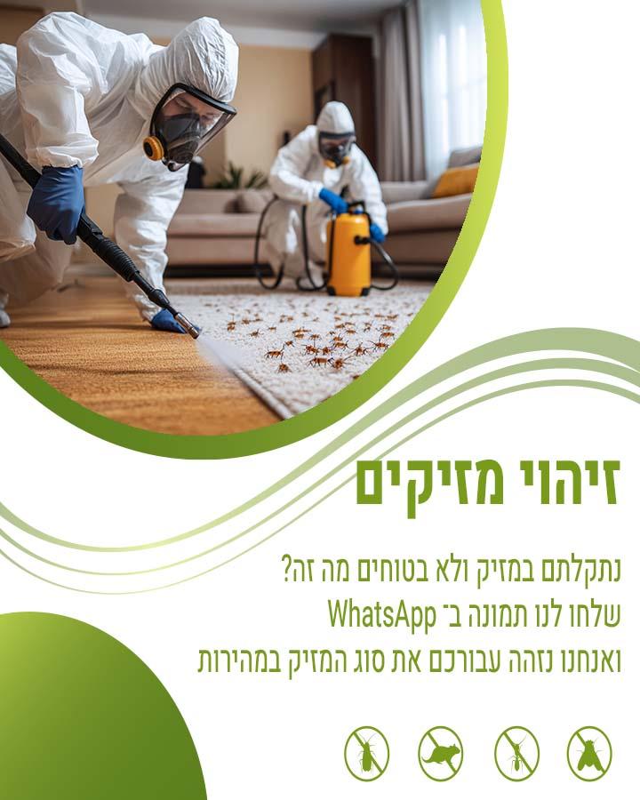 הדברת נמלת האש 1