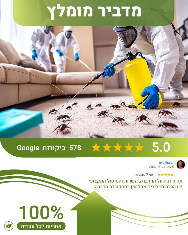 הדברת עכברים