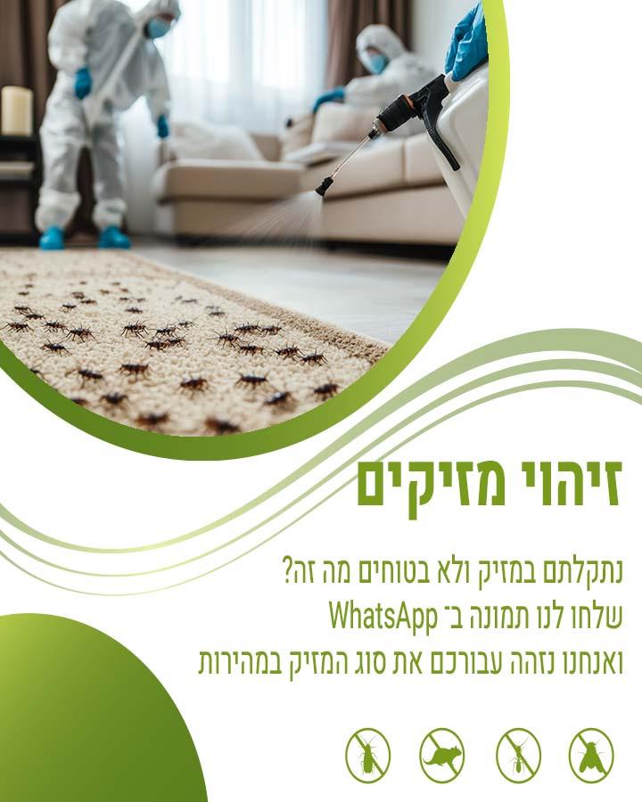 הדברת עשבים