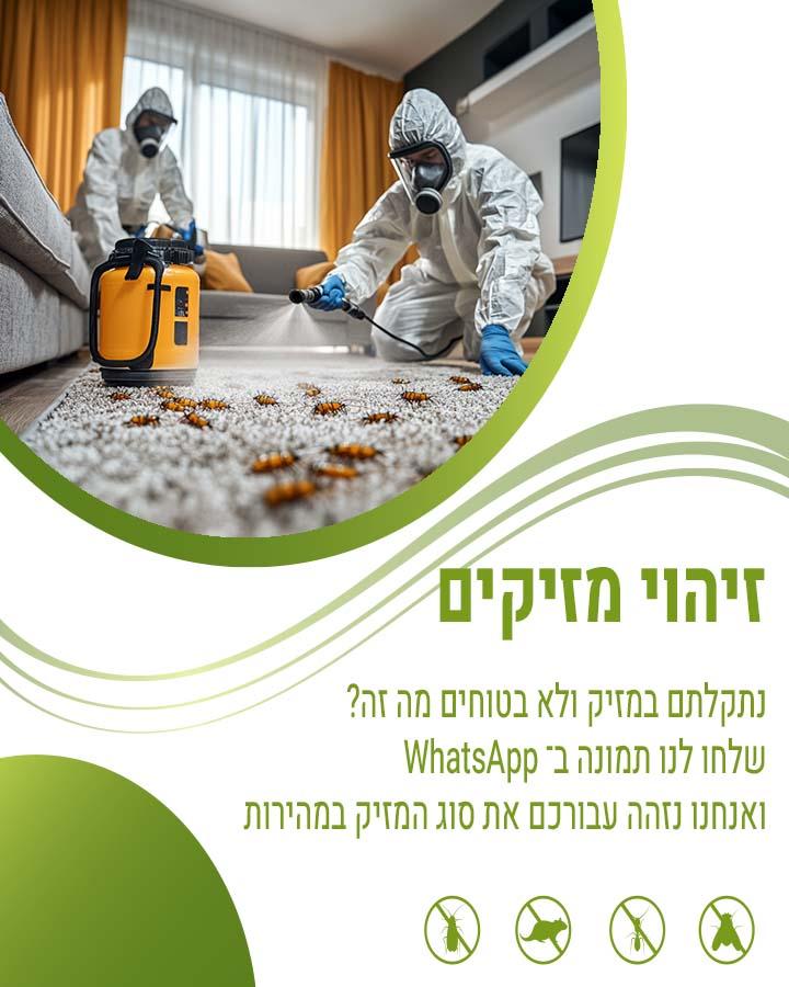 הדברת פרעושים