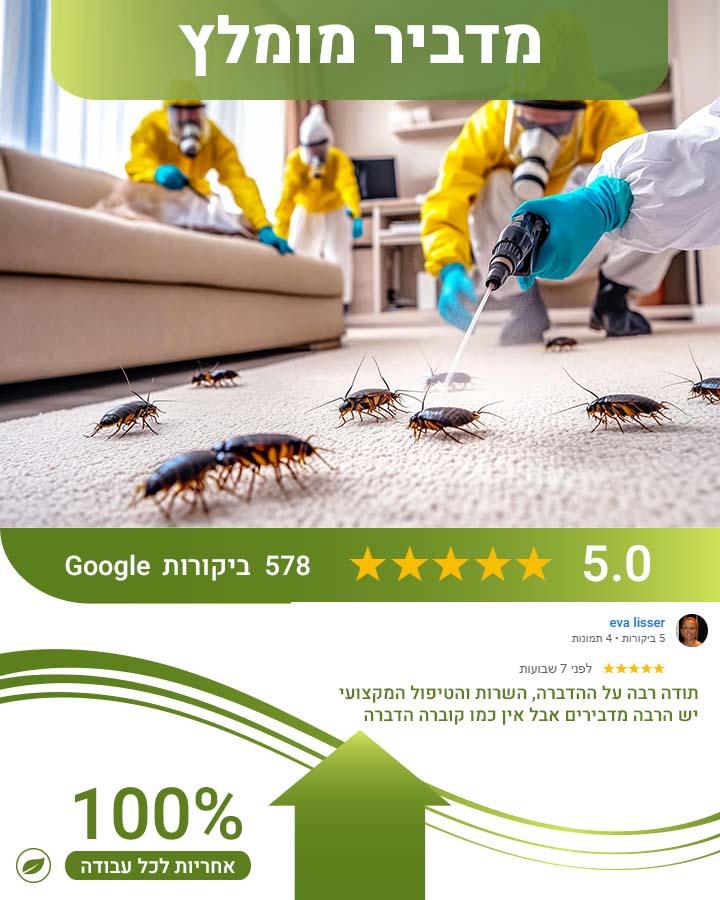 הדברת פשפש המיטה