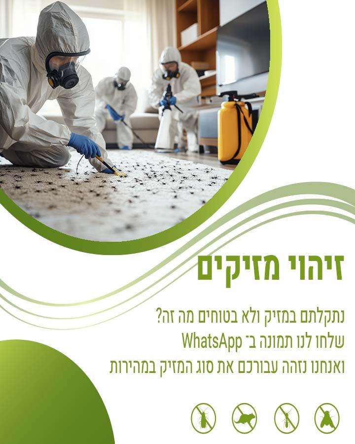 הדברת צרעות