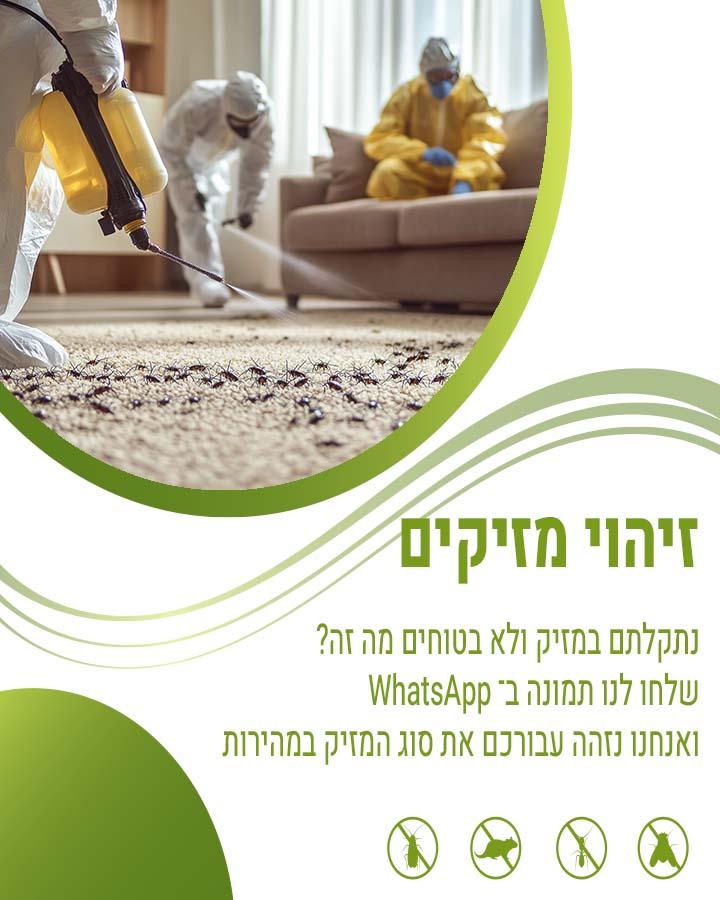 הדברת קפצזנב