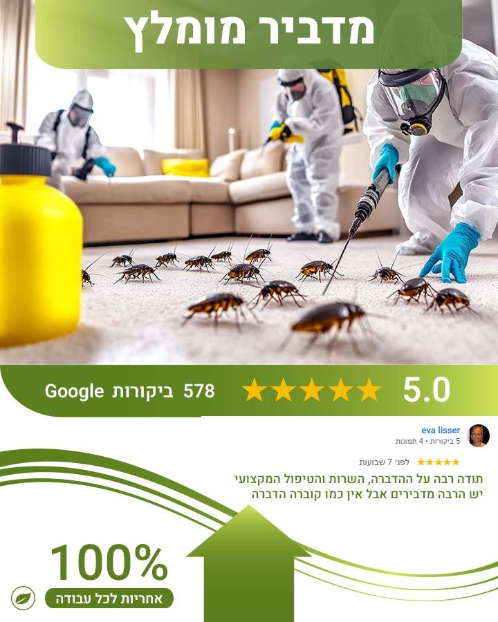 הדברת קרדית האבק