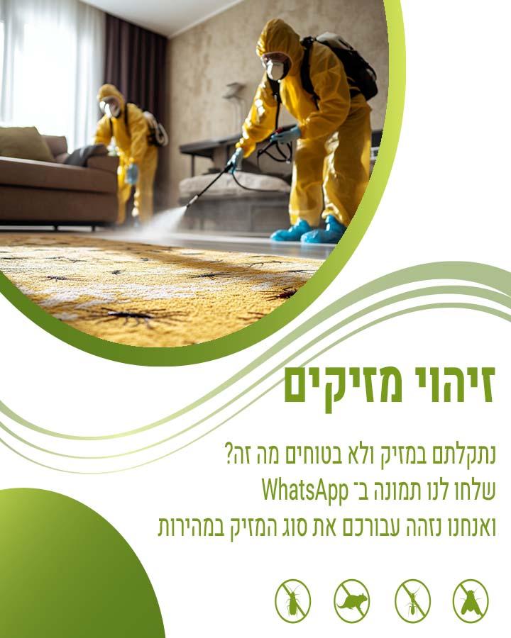 הדברת רב רגל שחור