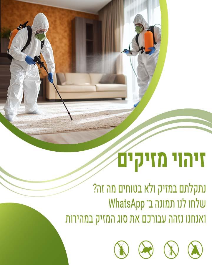 הדברת רימות זבובים 1