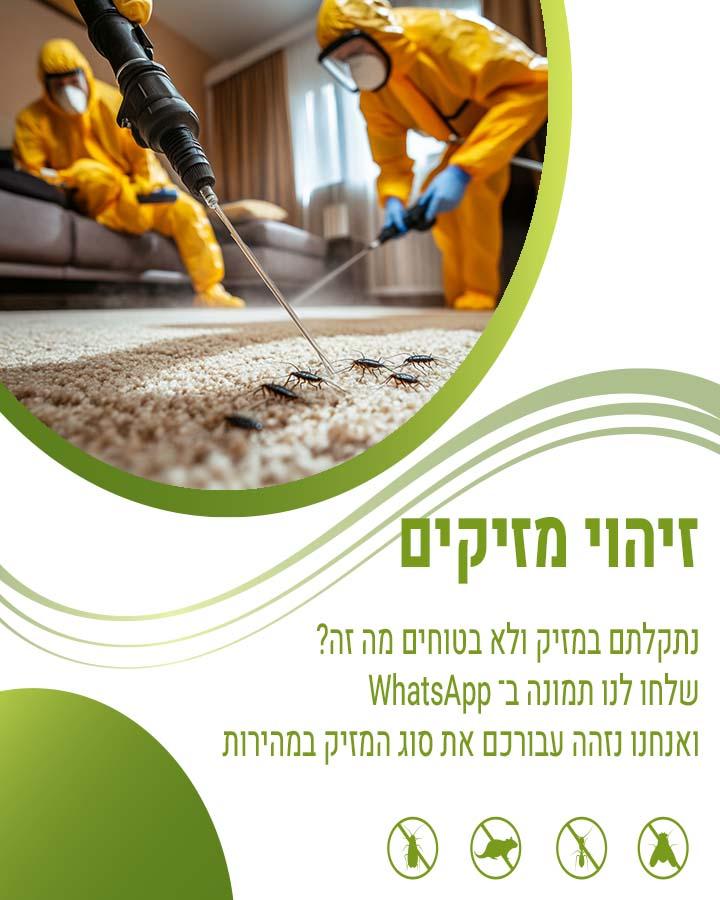 הדברת תיקן מזרחי