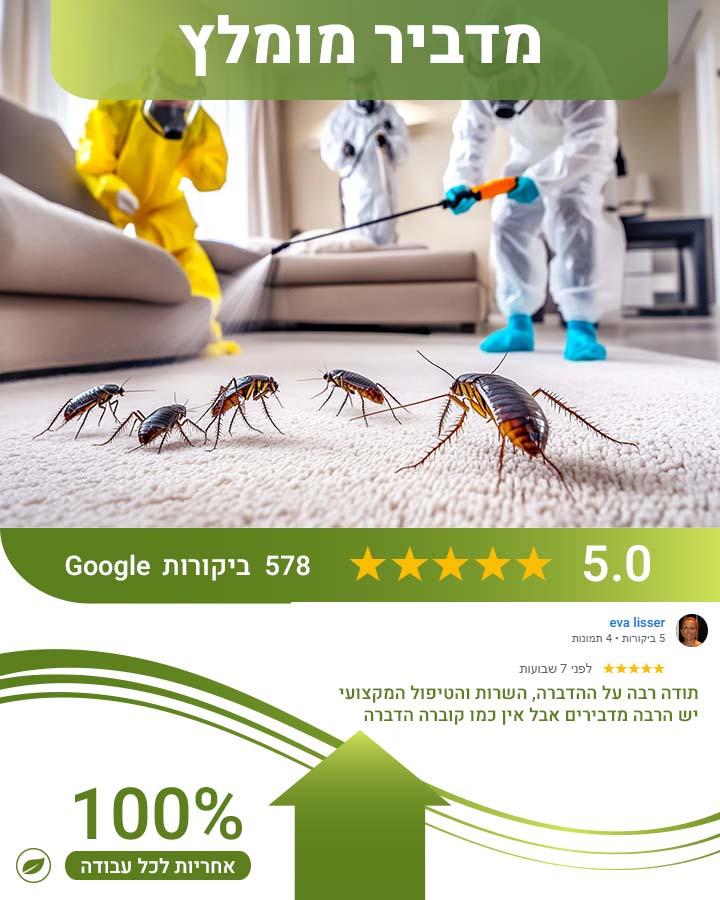 הנחיות לפני הדברה