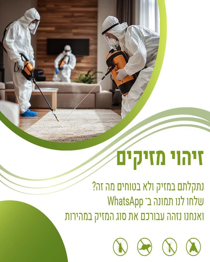 הרחקת צרעות באופן טבעי