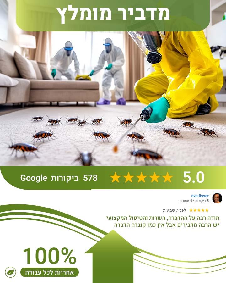 זבוב החול