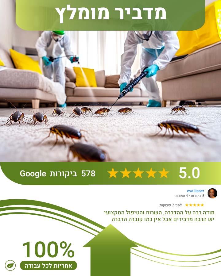 זבוב פירות
