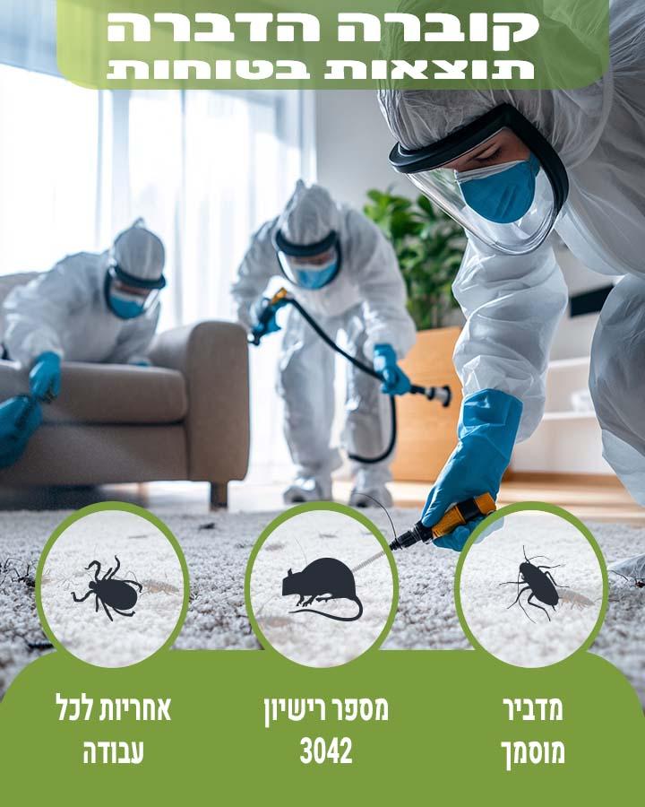 זבוב פירות