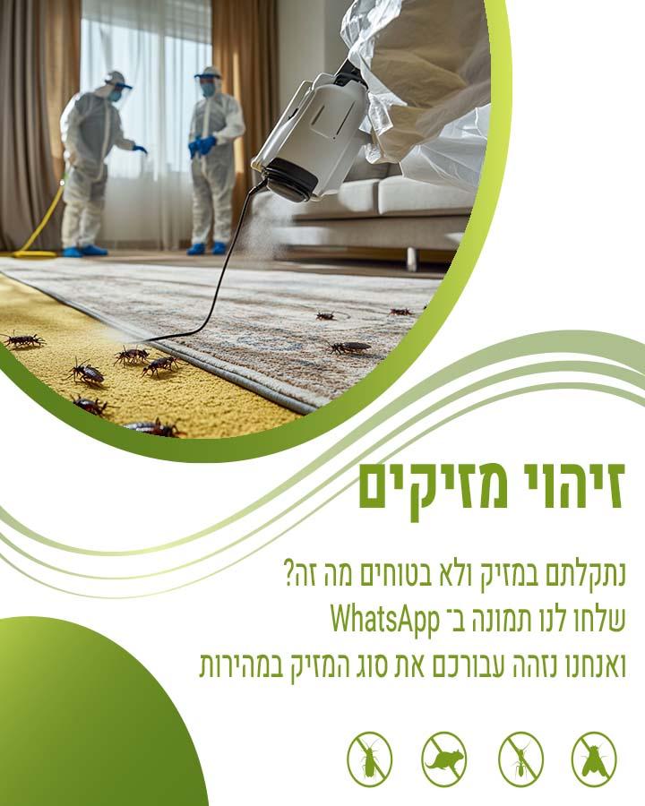 זבובים