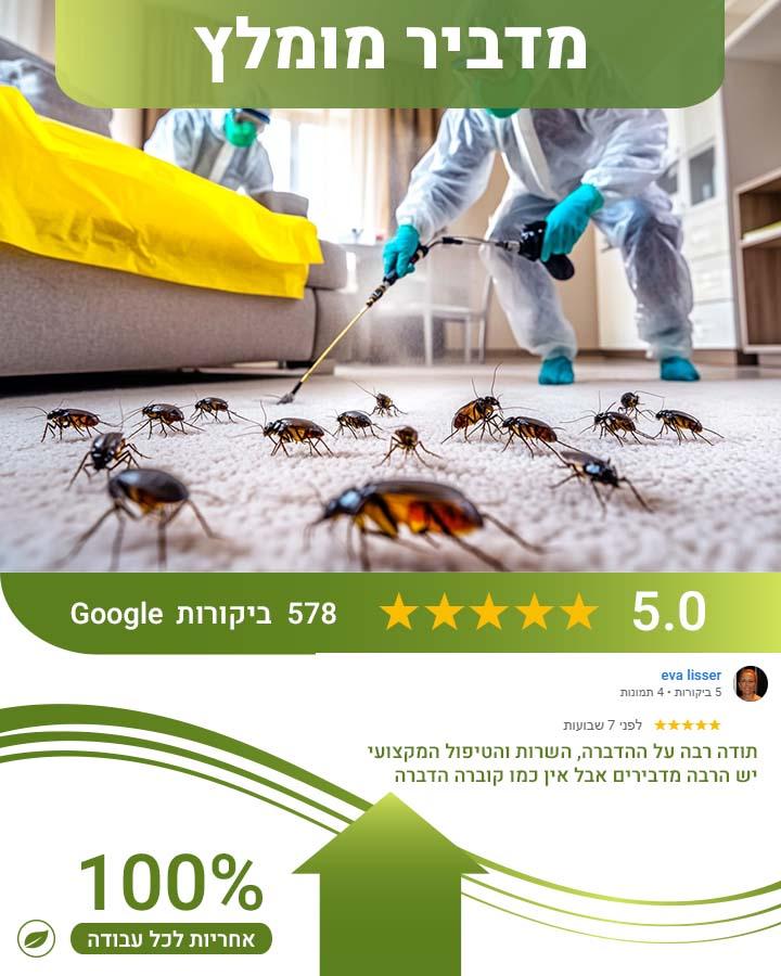 זבובים