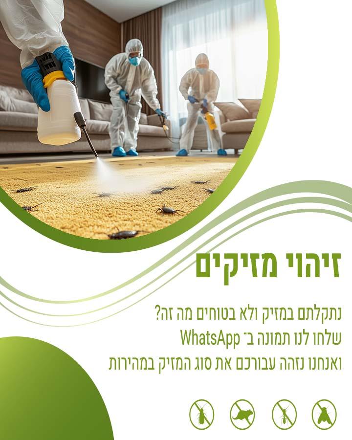 זיהוי חרקים