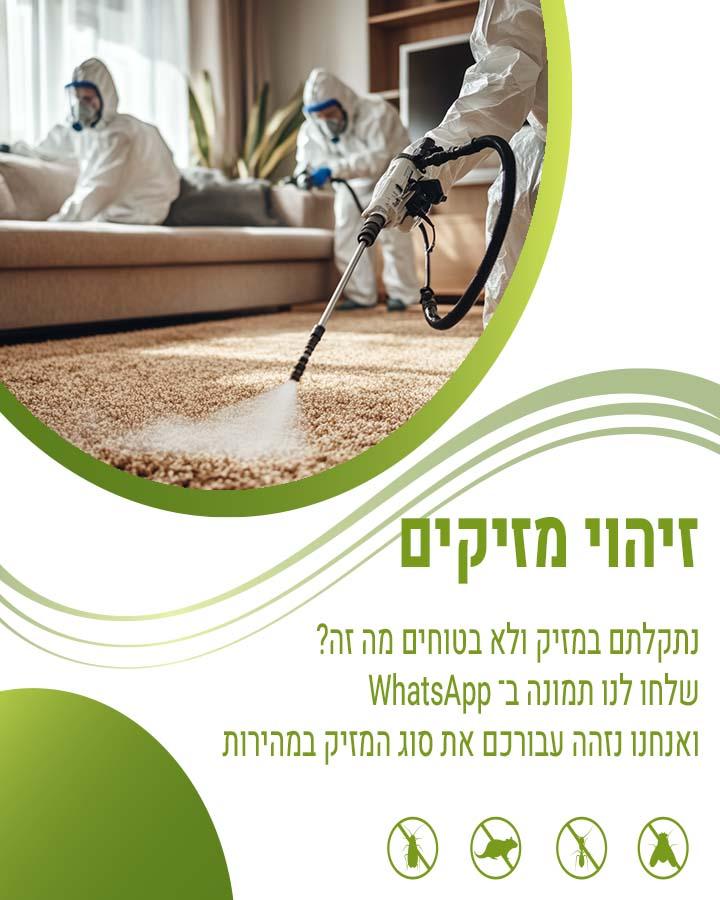 זיהוי עקיצות