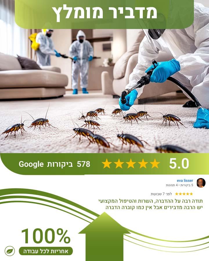 זיהוי עקיצות