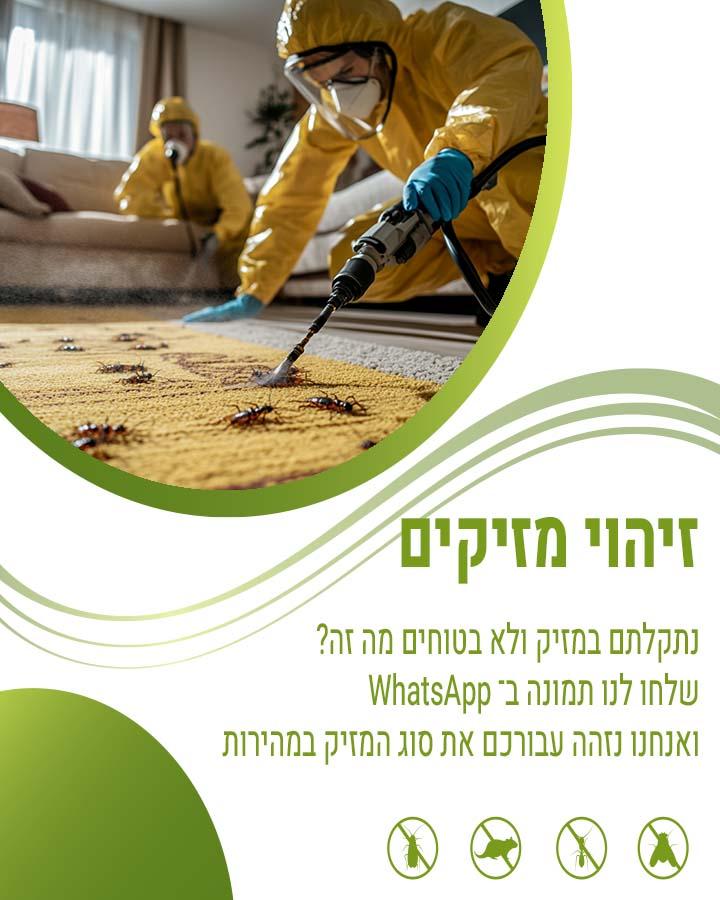 חברות הדברה במרכז 1