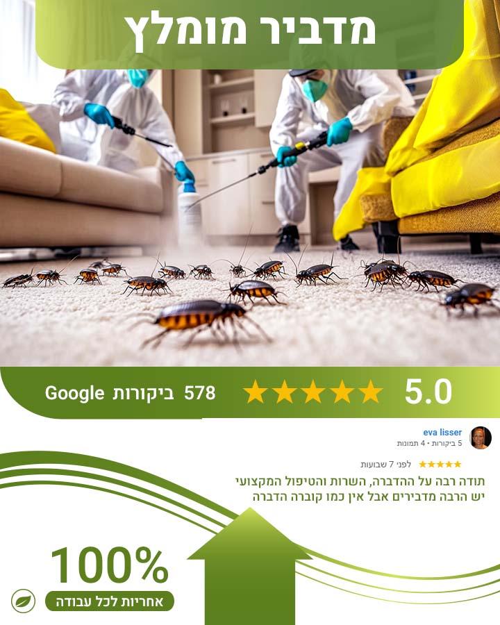 חדקונית האורז