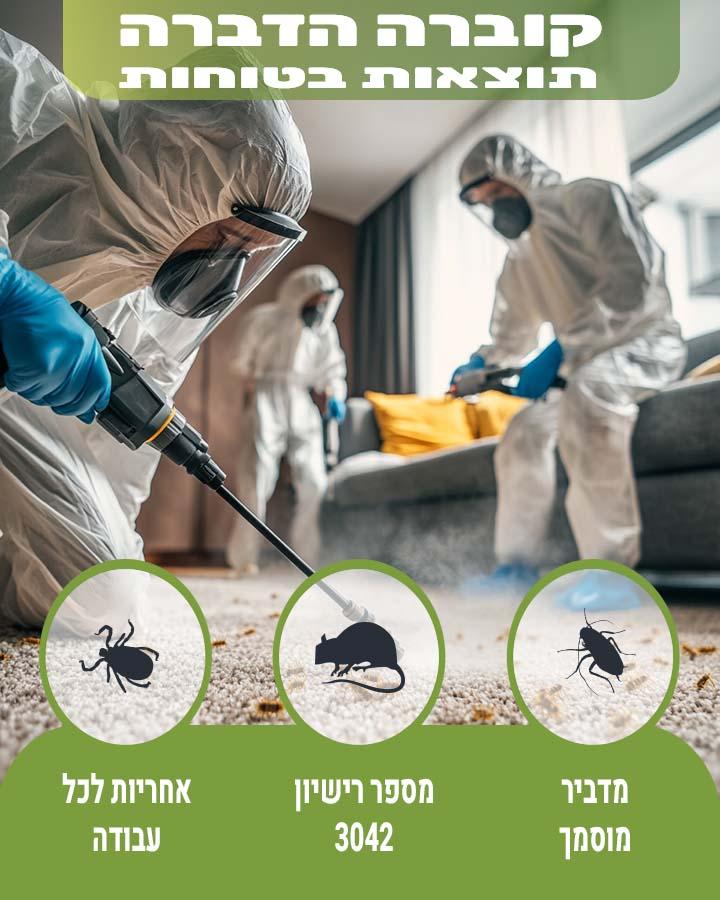 חדקונית הדקל