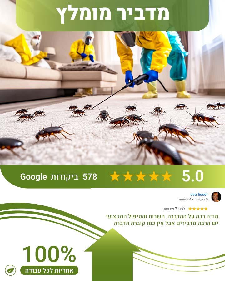 חולדות בביוב