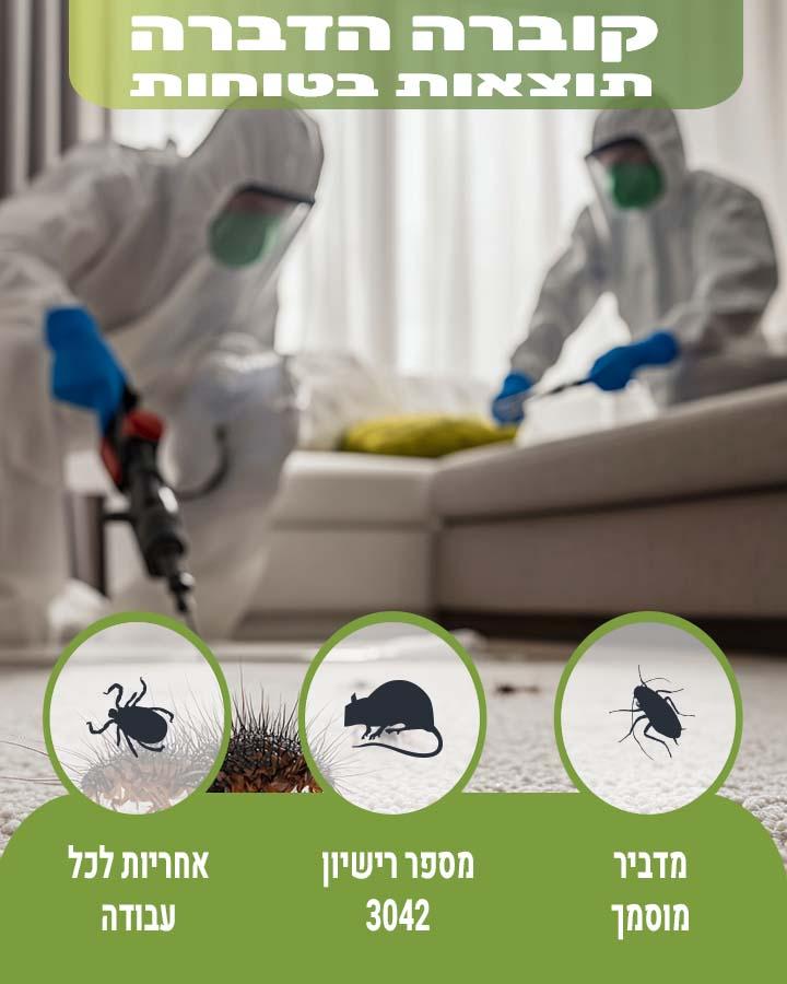 חולדות בביוב