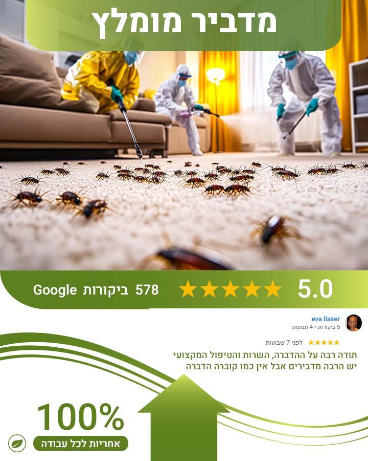 חיפושיות