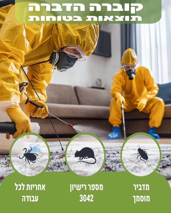 חיפושיות