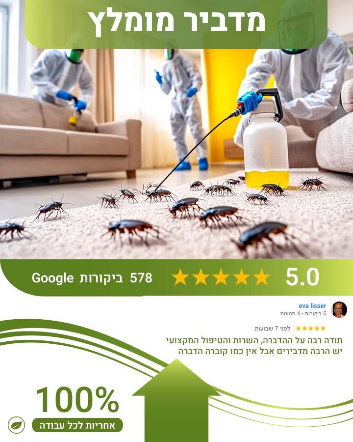 חיפושית הטבק