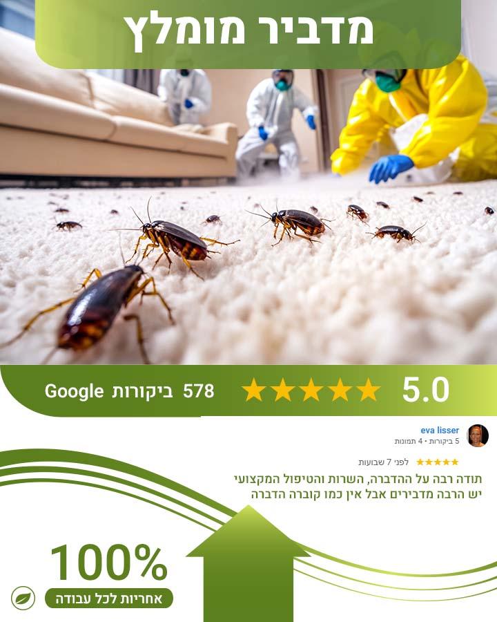 חיפושית הקמח
