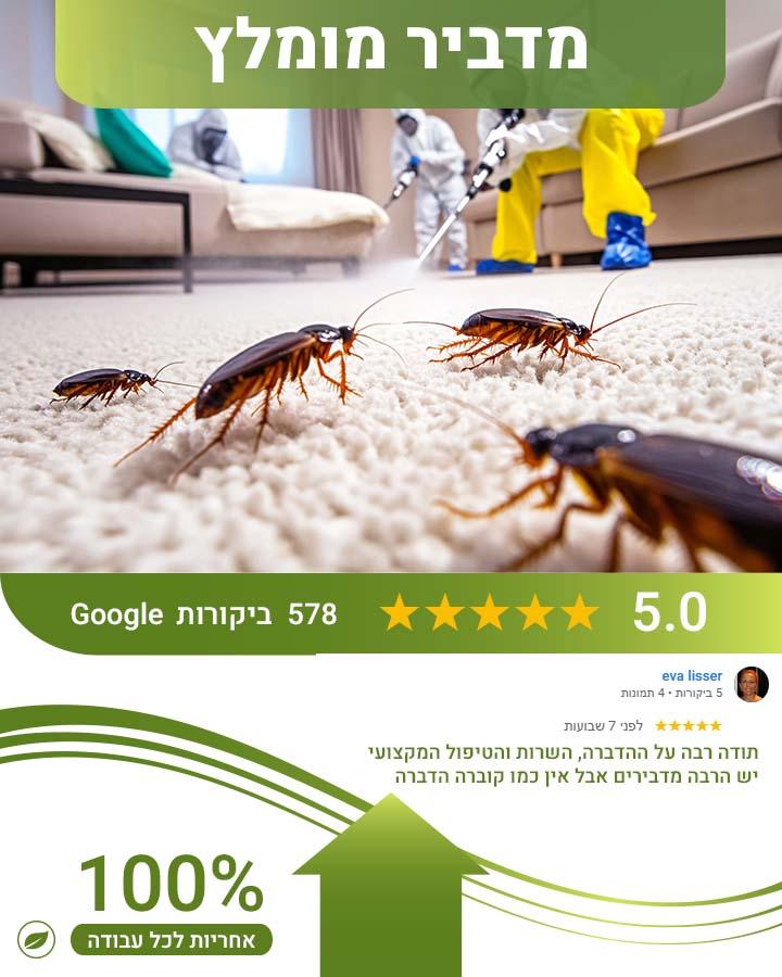 חיפושית זבל