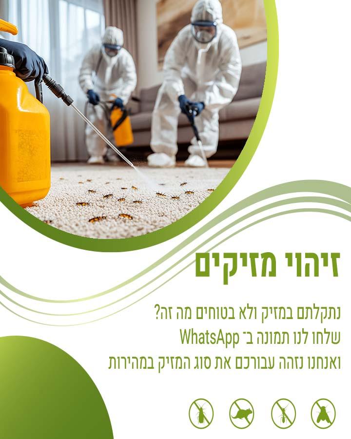 חרקי מיטה