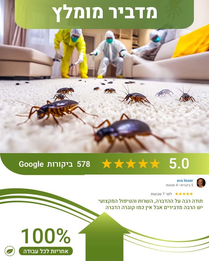 חרקים